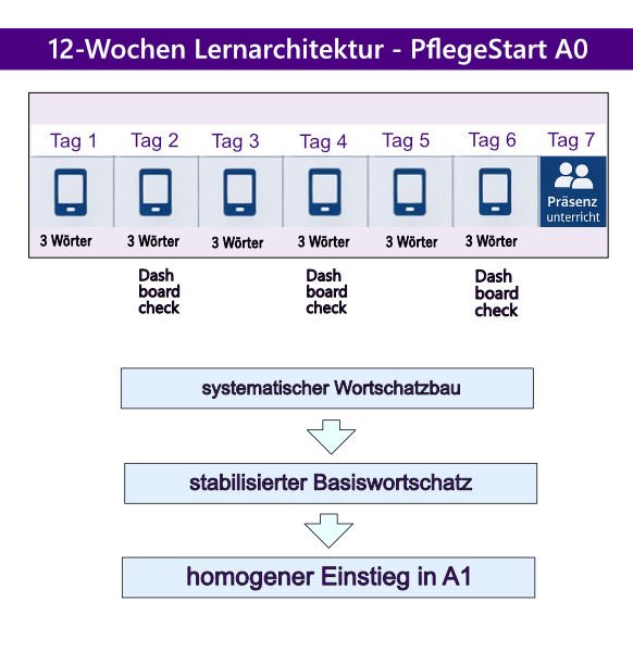 Wochenstruktur mit Präsenz- und digitalen Trainingstagen sowie Kompetenzprogression